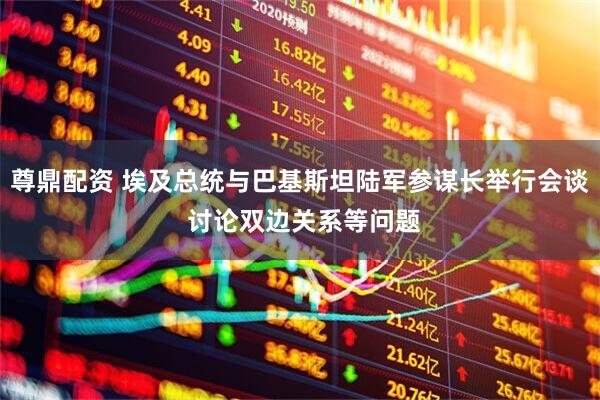 尊鼎配资 埃及总统与巴基斯坦陆军参谋长举行会谈 讨论双边关系等问题