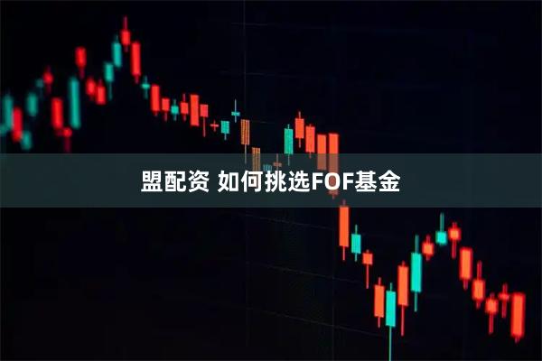 盟配资 如何挑选FOF基金
